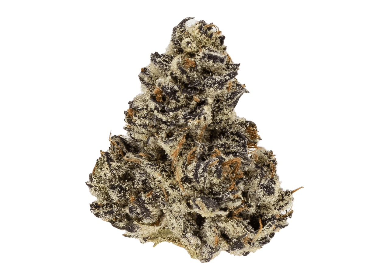 white truffle hybrid indica dominant strain